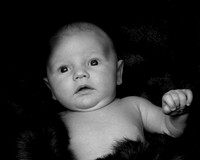 IMG_4667.JPG